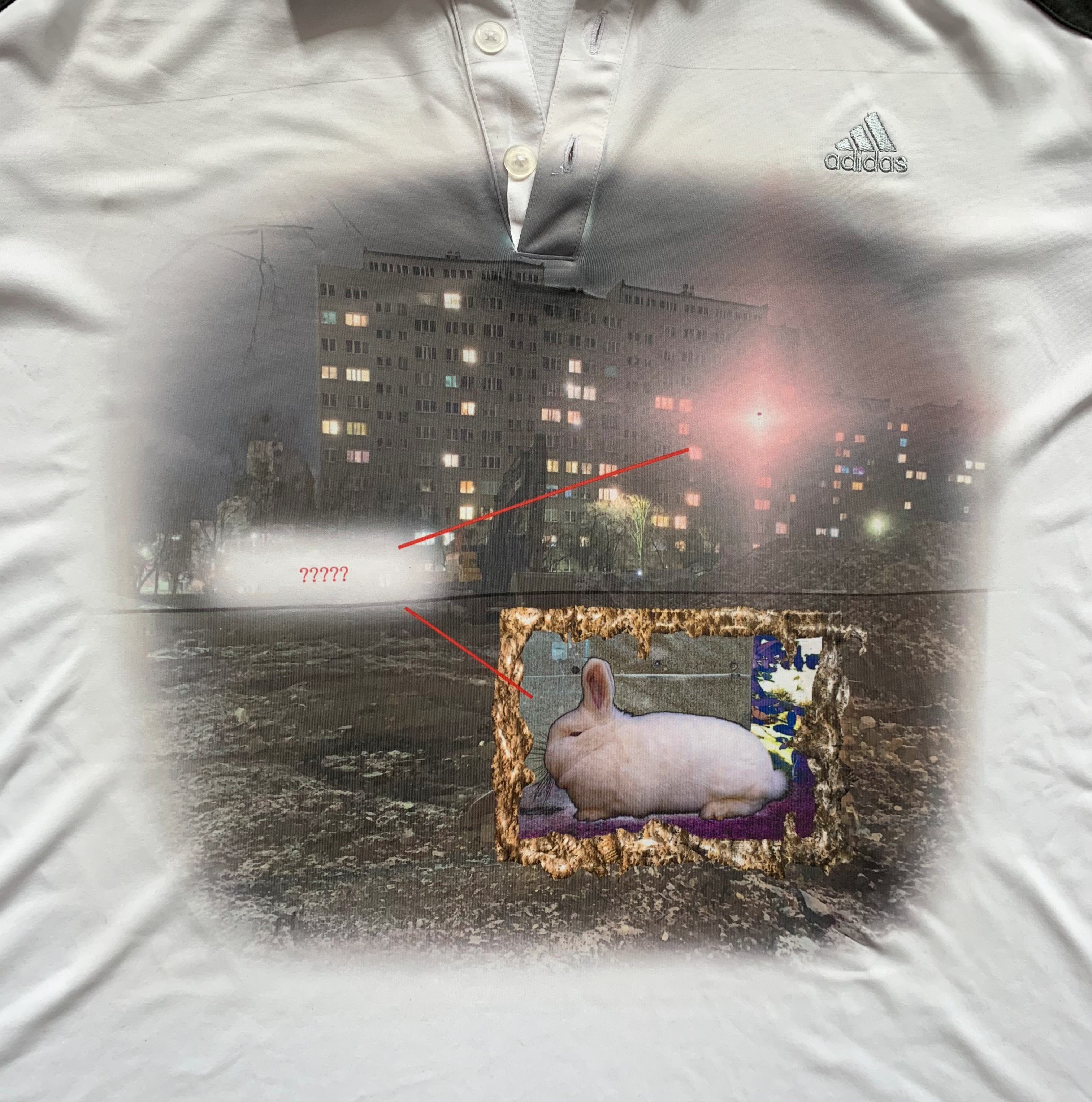 Bunny Investigation Top