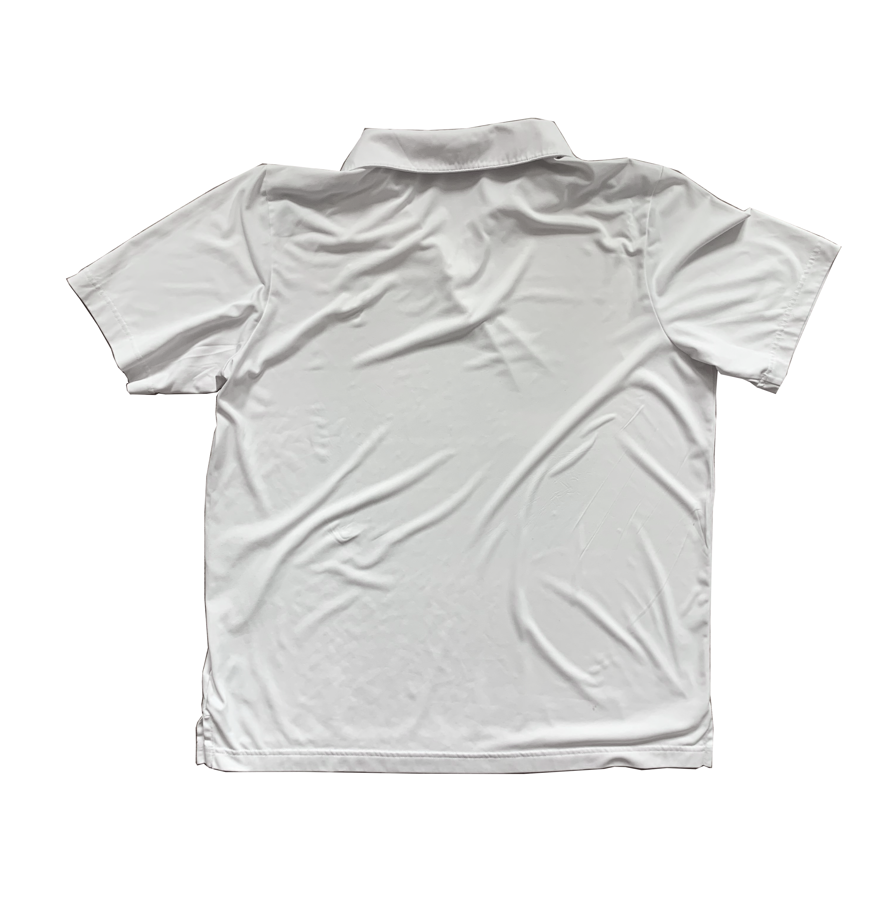 Bunny Investigation Top
