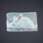 Bunny T-shirt B