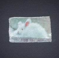 Bunny T-shirt B