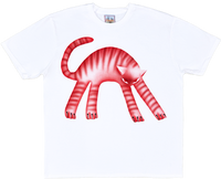 1B - White T-shirts
