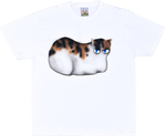 1B - White T-shirts