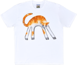 1B - White T-shirts
