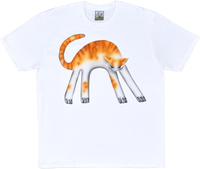 1B - White T-shirts