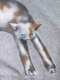 Cat Hoodies