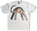 1A - Calico Cats