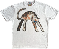 1A - Calico Cats