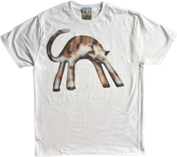 1A - Calico Cats