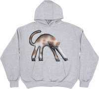 Cat Hoodies