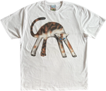 1A - Calico Cats
