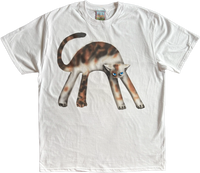 1A - Calico Cats