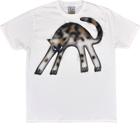 March 2026 T-shirts