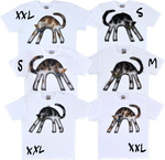1A - Calico Cat T-shirts