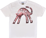 March 2026 T-shirts