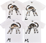 March 2026 T-shirts