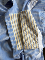 Wormworld Window Business Shirt