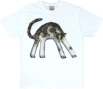 1A - White T-shirts