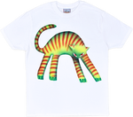 Z - Test product
