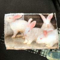 Available - bunny applique hoodie