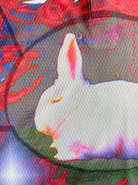 Bunny Frame Polo