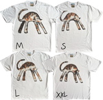 1A - Calico Cats
