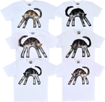 1A - Calico Cat T-shirts